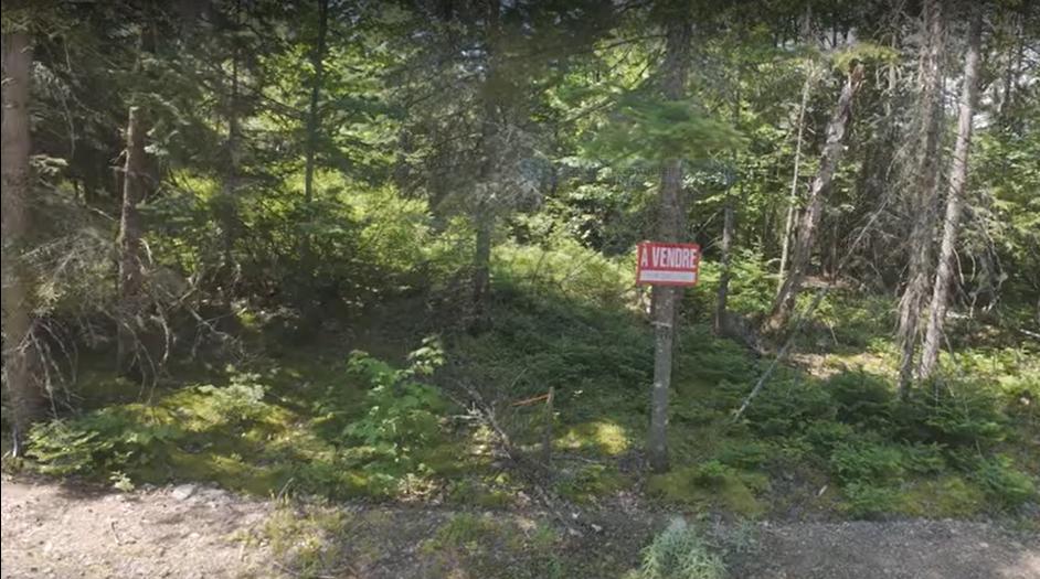 TERRAIN À VENDRE – PINE LAKE, SAINT-RAYMOND | 3308543