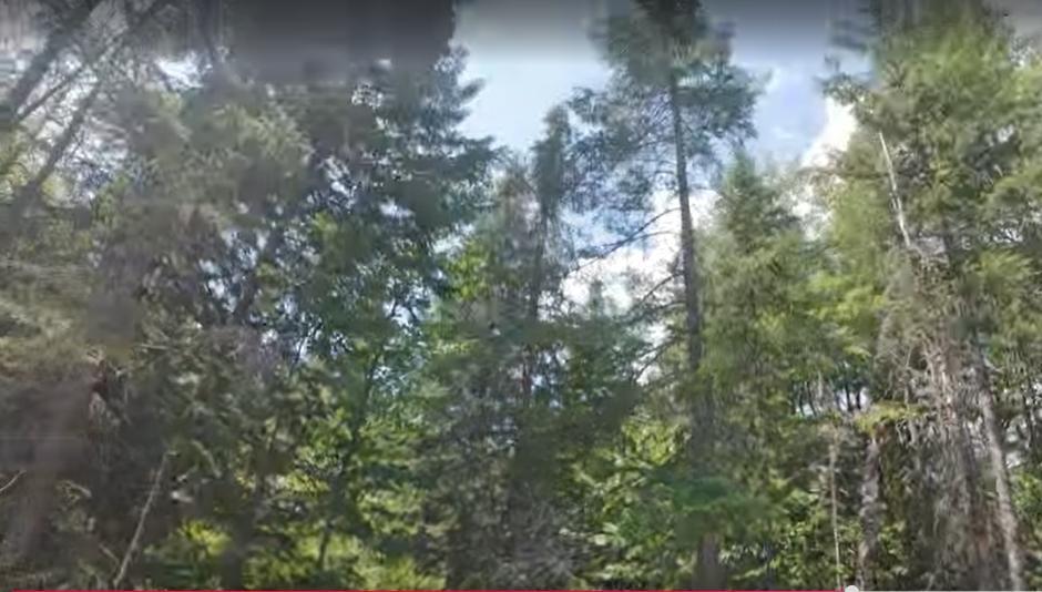 TERRAIN À VENDRE – PINE LAKE, SAINT-RAYMOND | 3308543
