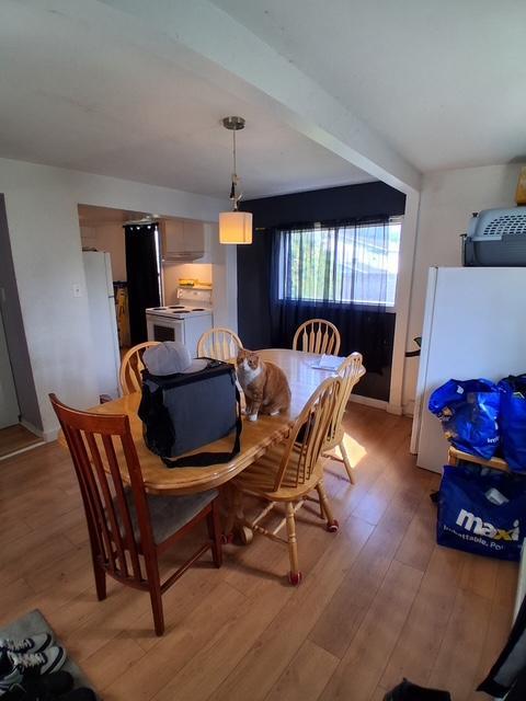 4 1/2 à louer Salaberry-de-Valleyfield | 3308657