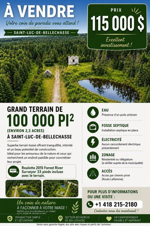 Grand terrain boisé de 100 000 pi² à vendre + Roulotte 2015 Forest River Surveyor 33 pieds – Saint-Luc-de-Bellechasse – 115 000 $ | 3308683