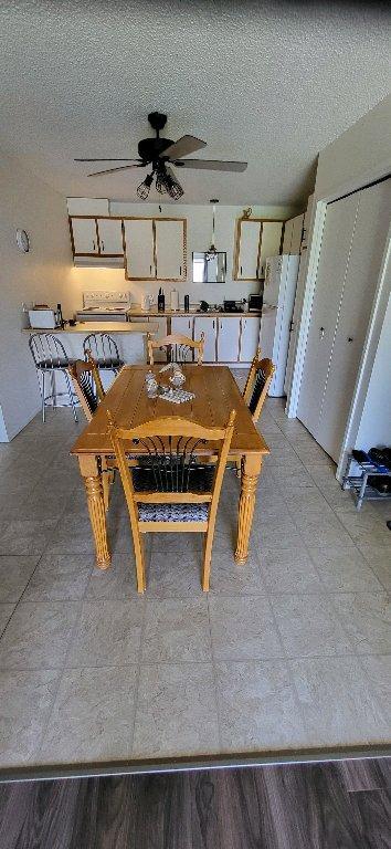 Beau 4 1/2 à louer - Shawinigan | 3308697