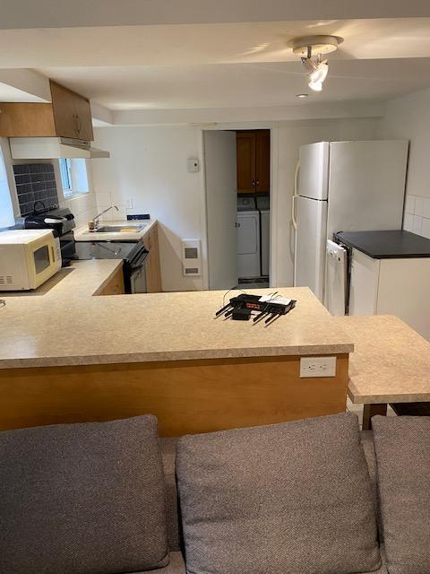 Grand 31/2 frais rénové, totalement meublé, chauffé, éclairé, internet. Disponible dès maintenant | 3308922