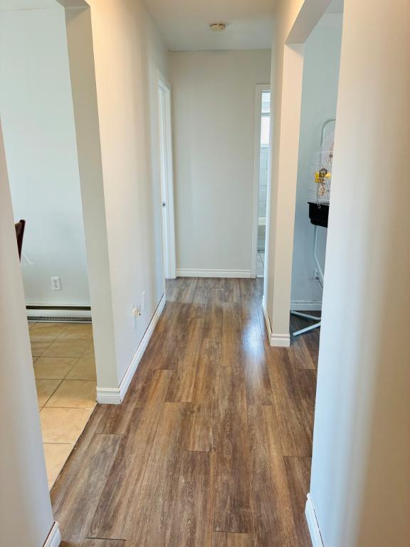 * Nouvelles photos* 4 ½ Brossard avec commodités | 3308928