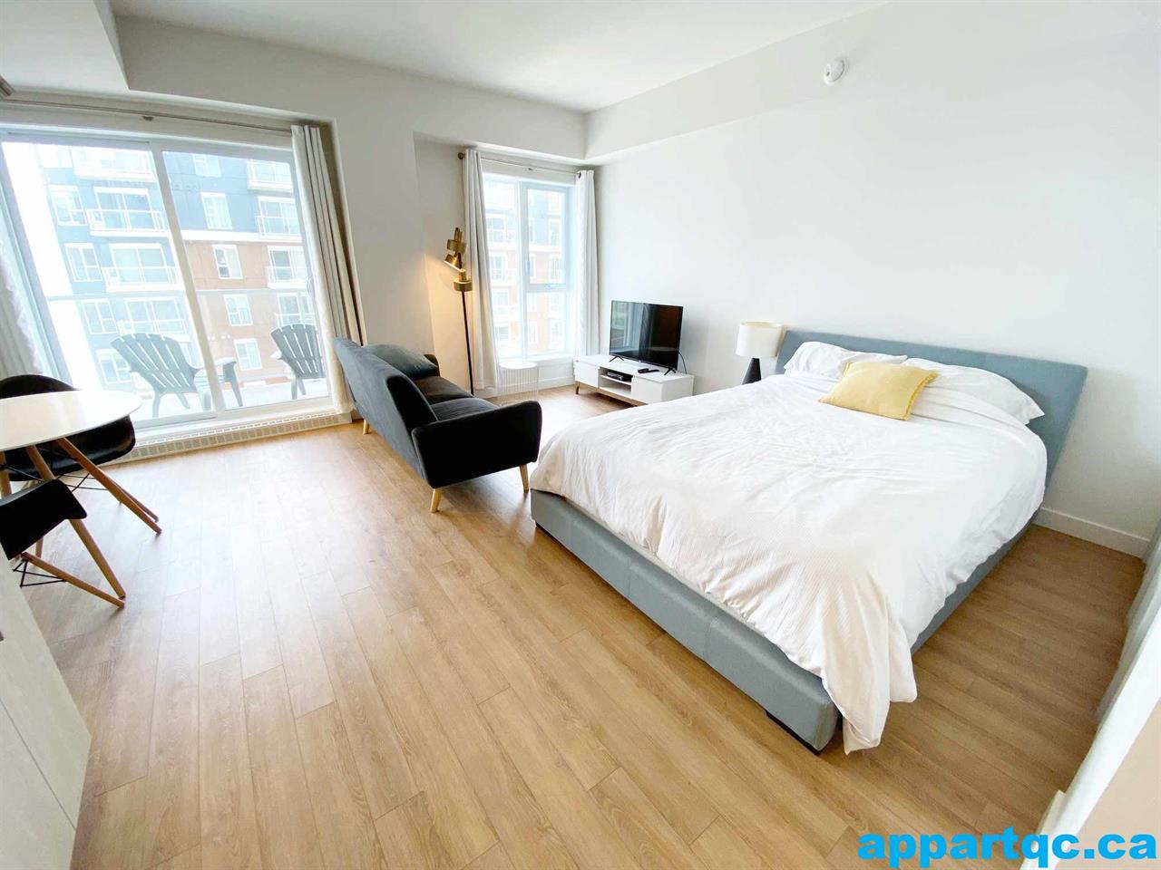Québec – Studio idéal pour universitaire – Université Laval | 3309154