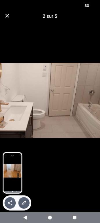 Logement à louer | 3309201
