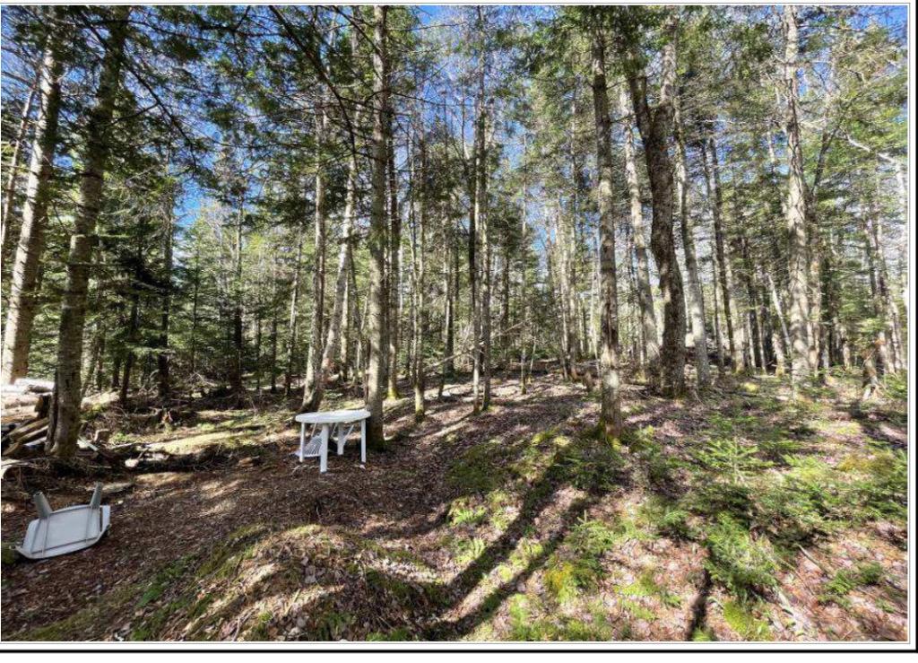 🌲 TERRAIN 10 ACRES — Zone Blanche RF-1 — Défriché, Prêt à Construire — Saint-Hermenegilde QC Légèrement négociable pour offre sérieuse | 3309295