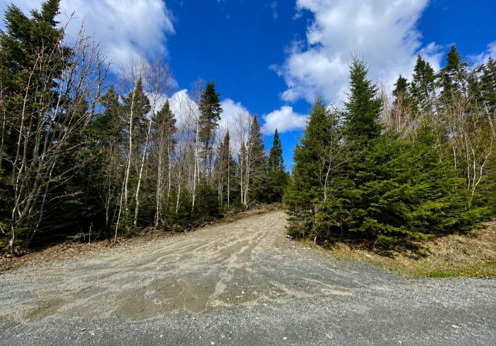 🌲 TERRAIN 10 ACRES — Zone Blanche RF-1 — Défriché, Prêt à Construire — Saint-Hermenegilde QC Légèrement négociable pour offre sérieuse | 3309295