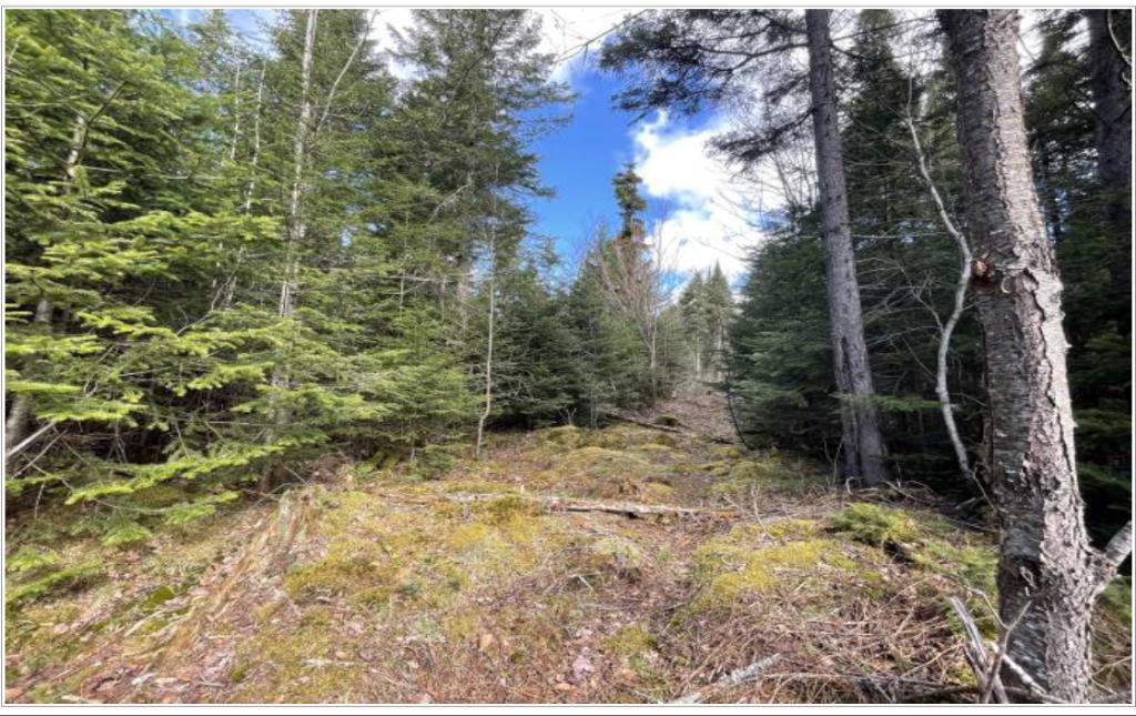 🌲 TERRAIN 10 ACRES — Zone Blanche RF-1 — Défriché, Prêt à Construire — Saint-Hermenegilde QC Légèrement négociable pour offre sérieuse | 3309295