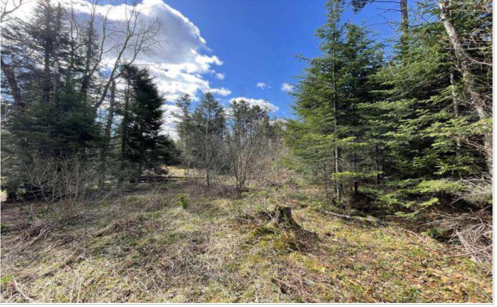 🌲 TERRAIN 10 ACRES — Zone Blanche RF-1 — Défriché, Prêt à Construire — Saint-Hermenegilde QC Légèrement négociable pour offre sérieuse | 3309295