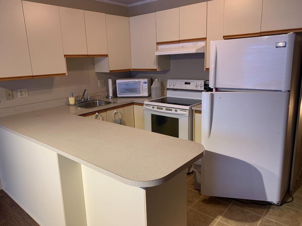 4.5 centre-ville Victoriaville | 3309592