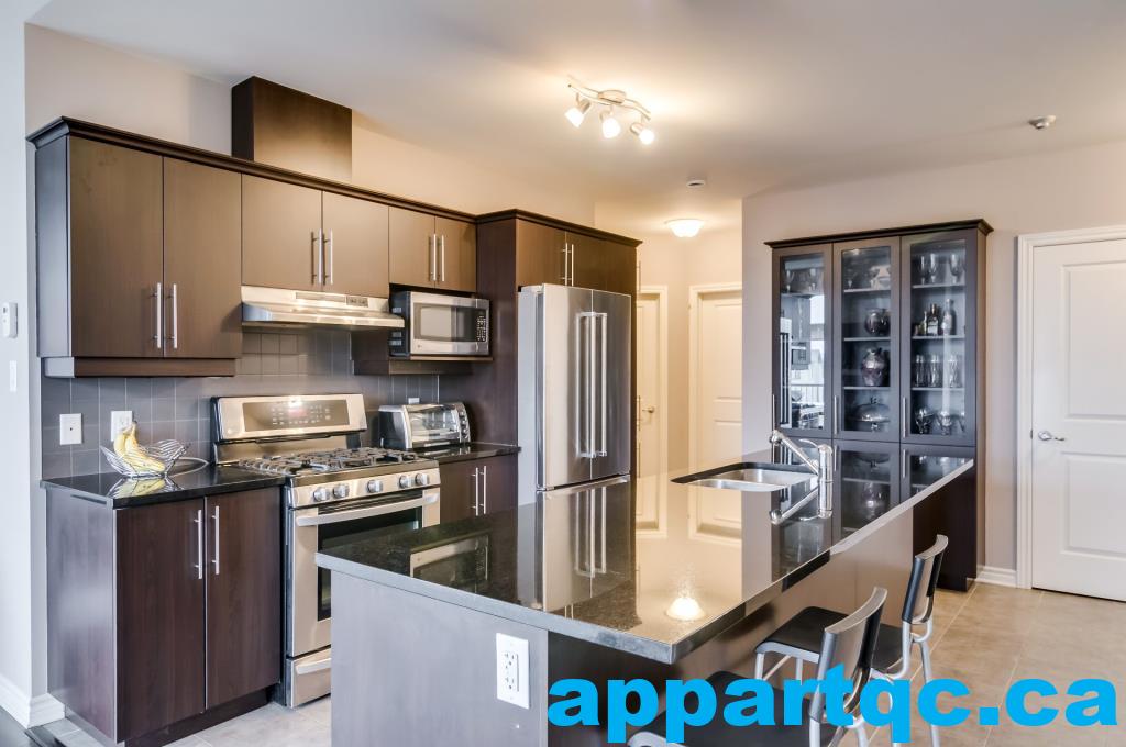 Gatineau – Superbe condo 3 1/2 à louer – Vue sur le Château Cartier et la rivière des Outaouais | 3309603