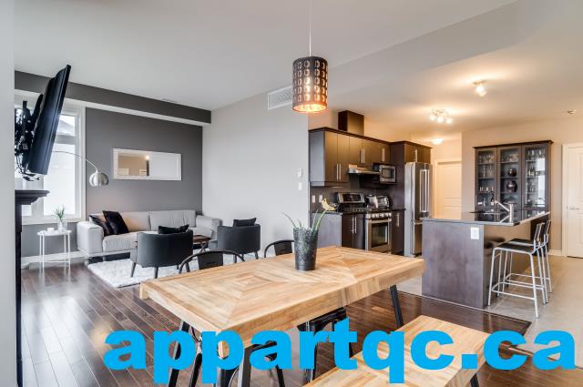 Gatineau – Superbe condo 3 1/2 à louer – Vue sur le Château Cartier et la rivière des Outaouais | 3309603