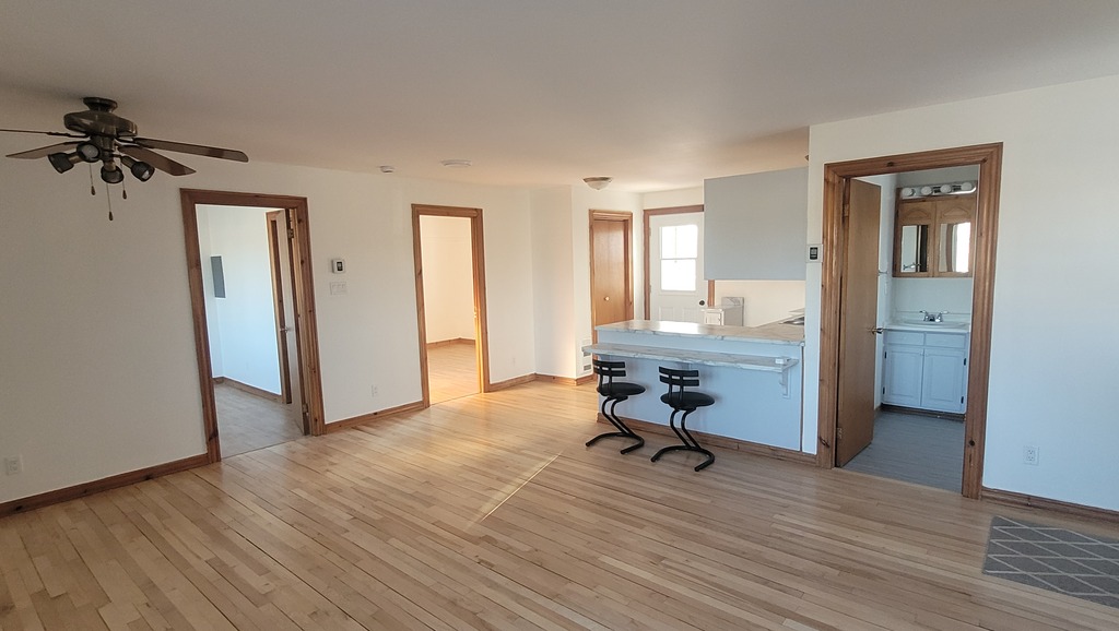 Beau Grand 4 1/2, Fraîchement Rénové | 3309968