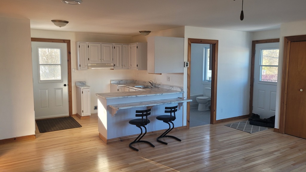 Beau Grand 4 1/2, Fraîchement Rénové | 3309968