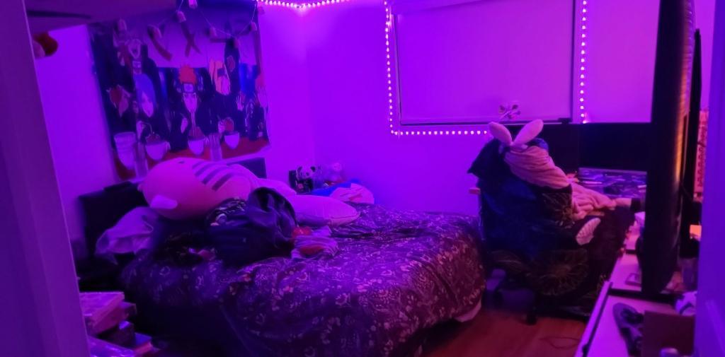 Appartement 4 1/2 | 3310362
