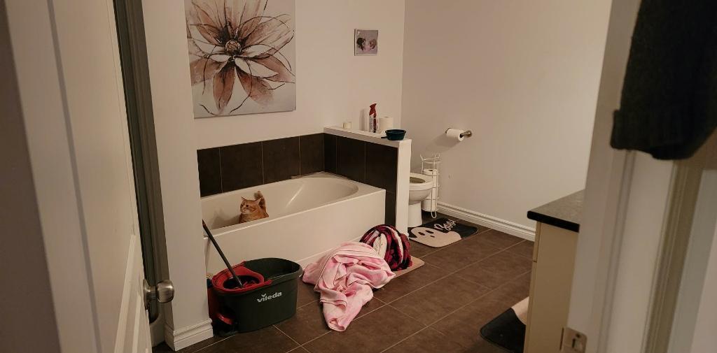Appartement 4 1/2 | 3310362
