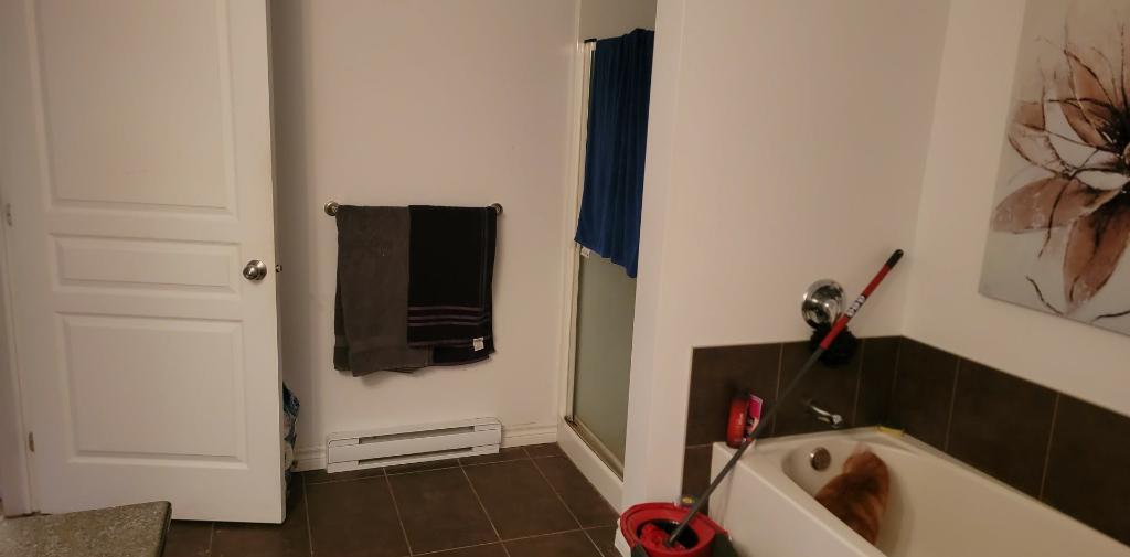 Appartement 4 1/2 | 3310362