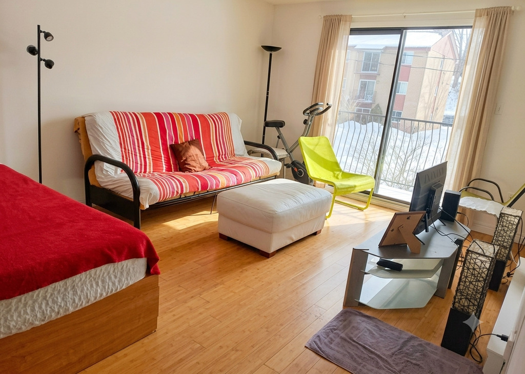 41/2 Rue Sans Issue | 3311155