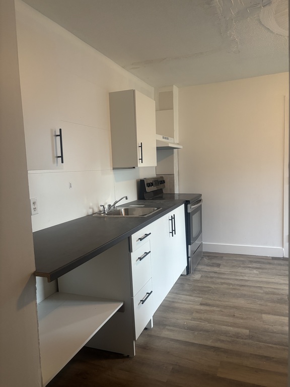 Beau 3 1/2 Secteur Lac Beauchamp | 3311205