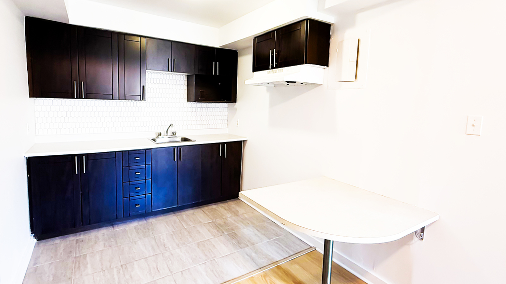 Très Beau 3 1/2 Entièrement Rénové | 3311241