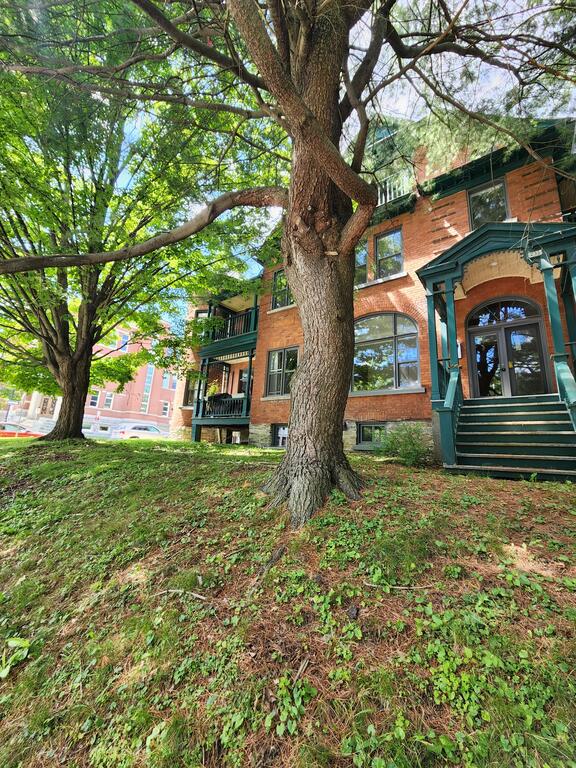 LOGEMENT D'EXCEPTION À LOUER – 3 ½ | 1 2 | 3311271