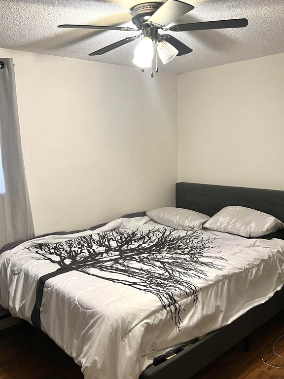 Spacieux Appart 1 Chambre Gatineau Hull | 3311352