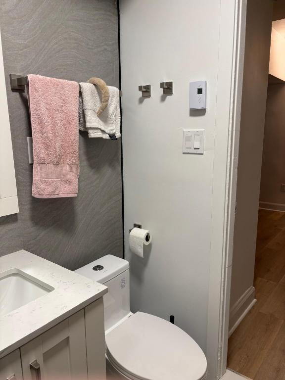 Appartement 4 1/2 près de l'UdeM | 3311491