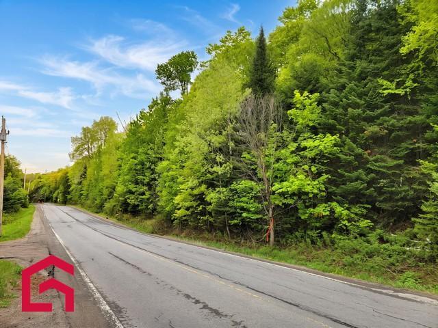 Terrain | 3312068