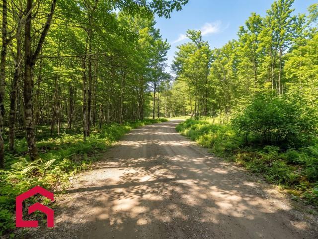 Terrain | 3312355