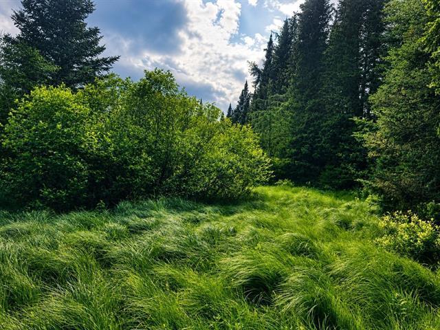 Terrain | 3312463