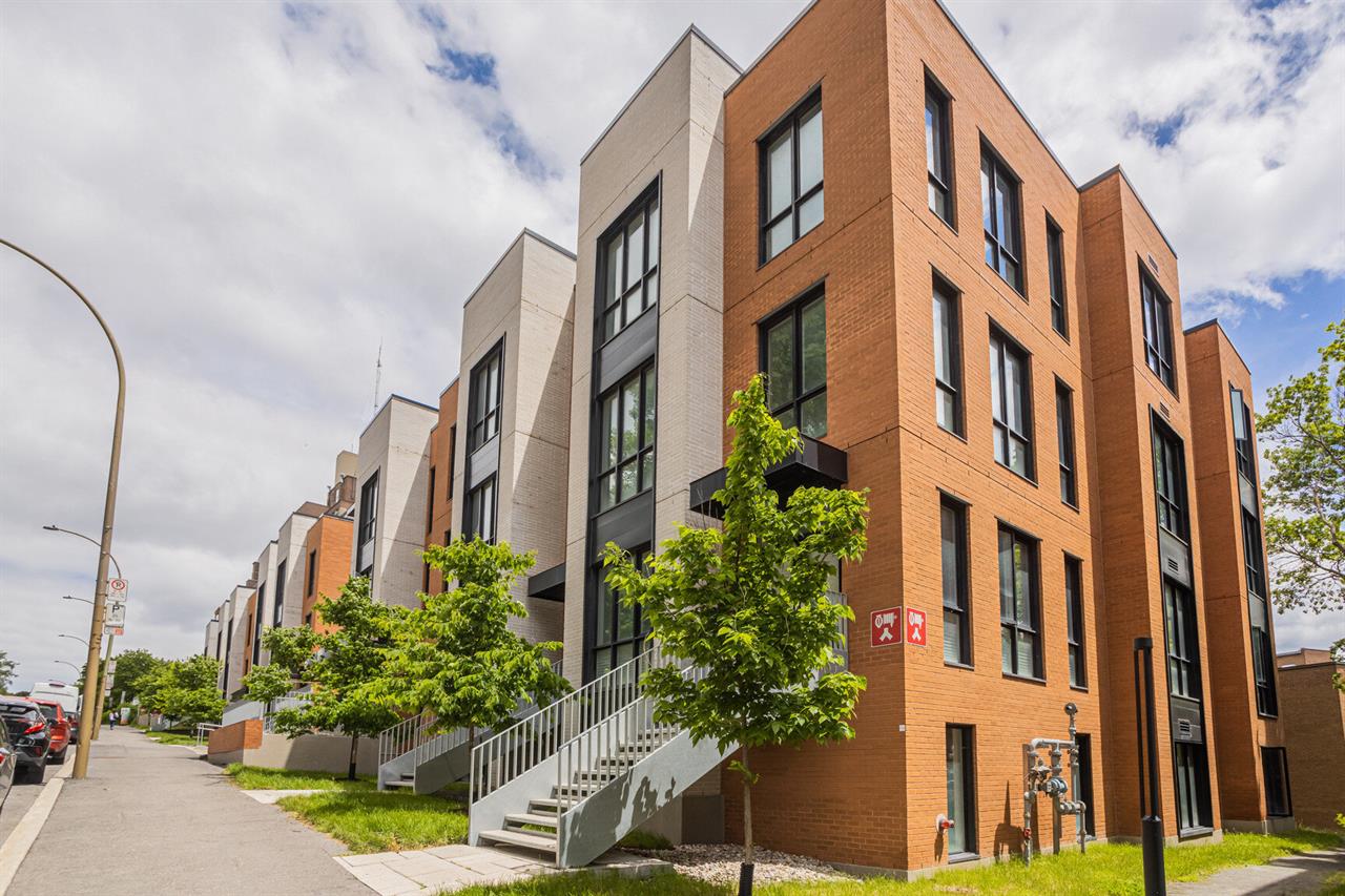 3 1/2 - 1750 Cedar, Montréal | 3312985