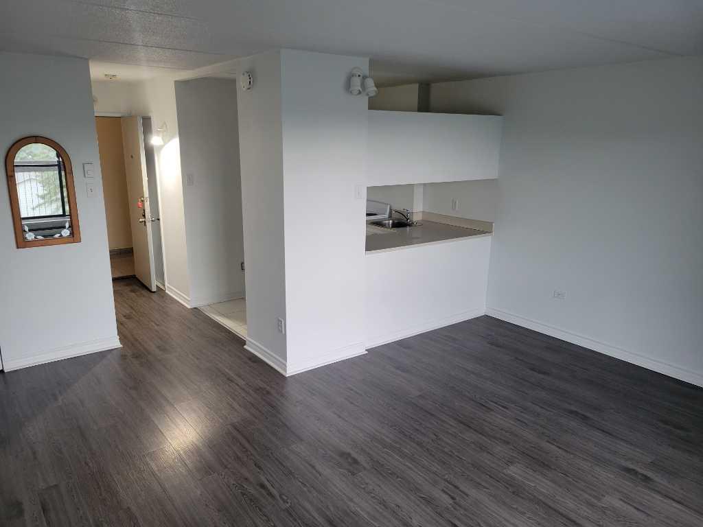 Très Bel Appartement Studio à Louer - Une Personne - Boulevard des Sources - DDO; Aussi 3 1/2, 4 1/2 | 3313063