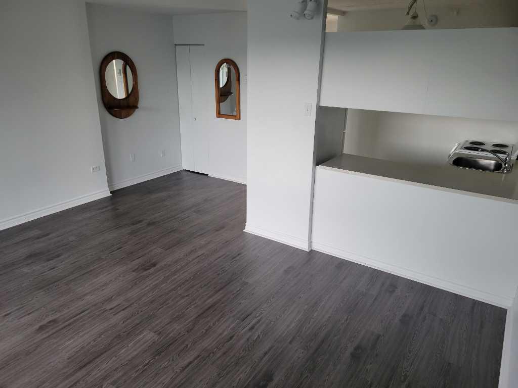 Très Bel Appartement Studio à Louer - Une Personne - Boulevard des Sources - DDO; Aussi 3 1/2, 4 1/2 | 3313063