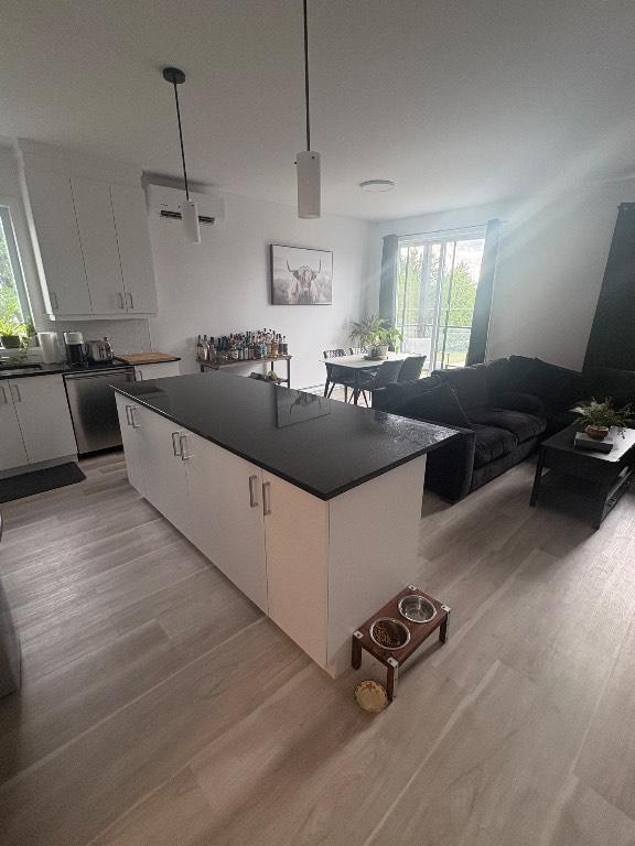 5 1/2 à louer | St-Ignace-de-Loyola | 3313085