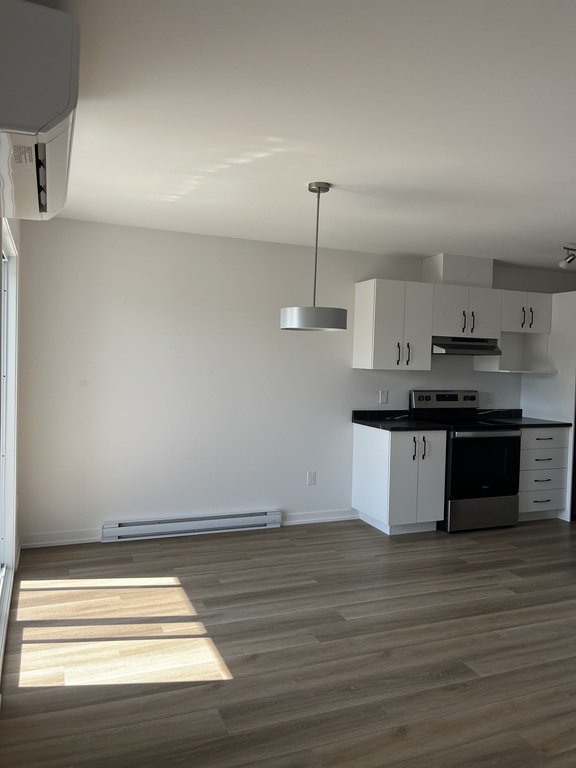 Appartement 2 Chambres, 1 Salle De Bain | 3313097