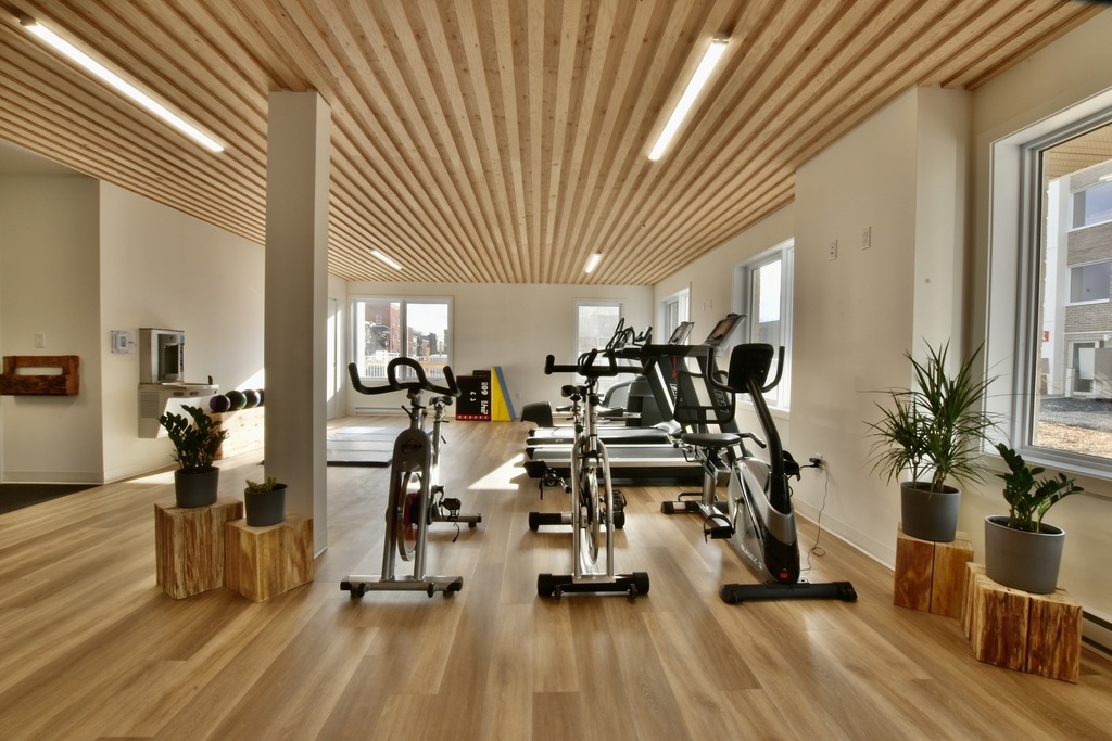 3 ½ à Louer, Gym Inclus! | 3313620