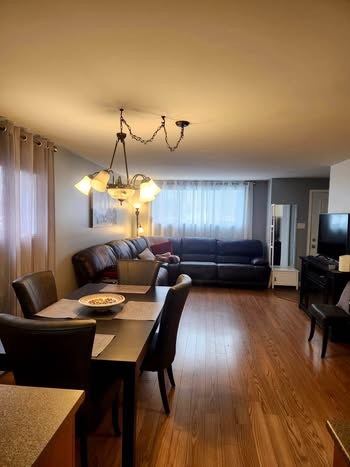 Grand 5 1/2 à Louer | 3313666