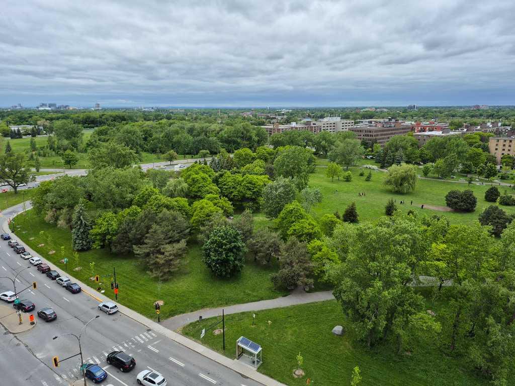 5½ CONDO ENSOLEILLÉ • UNITÉ DE COIN • GRANDES FENETRES • BELLES VUES SUR LA MONTAGNE • 5½ SUNNY CORNER APARTMENT • FLOOR-TO-CEILING WINDOWS • AHUNTSIC | 3313883