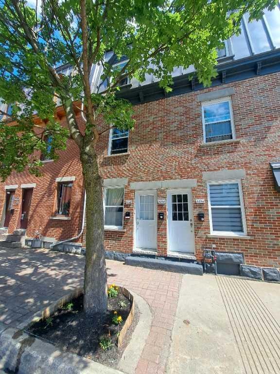 Très beau 3-1/2 à louer Hochelaga-Maisonneuve!!! | 3314606