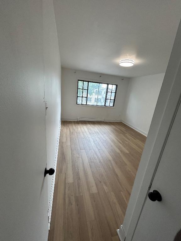 5 1/2 Anjou | 3314657