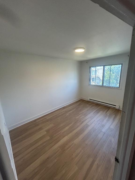 5 1/2 Anjou | 3314657