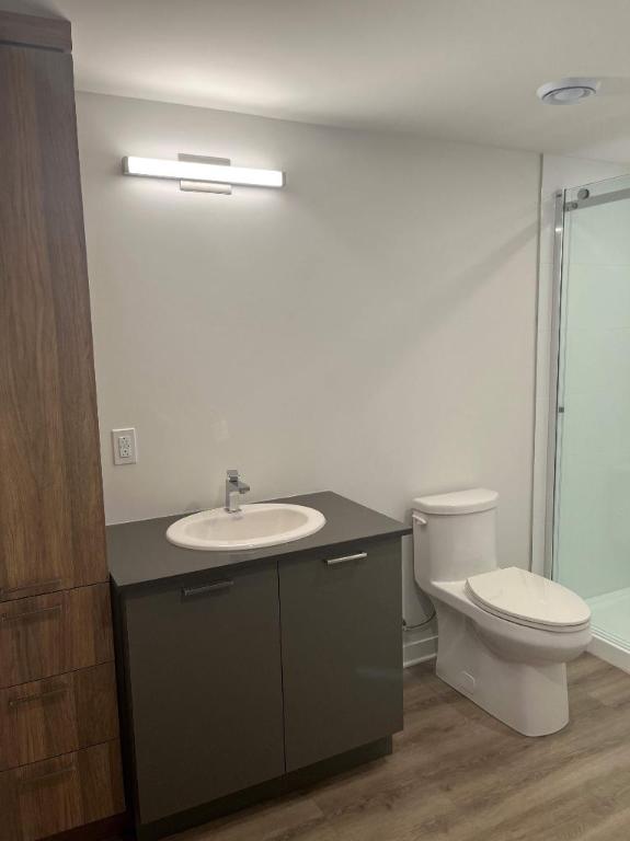 1 CH - 1 SDB - Terrebonne - $1,615 /mo | 3314659