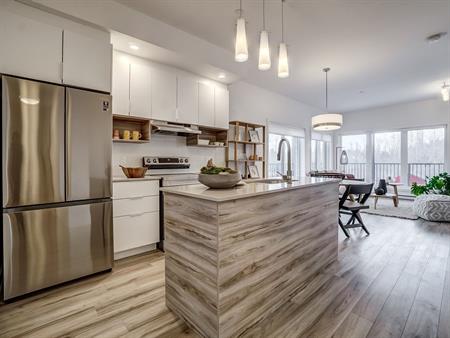 2 Bedroom - 20 Rue De La Bonne-Renommée, Gatineau