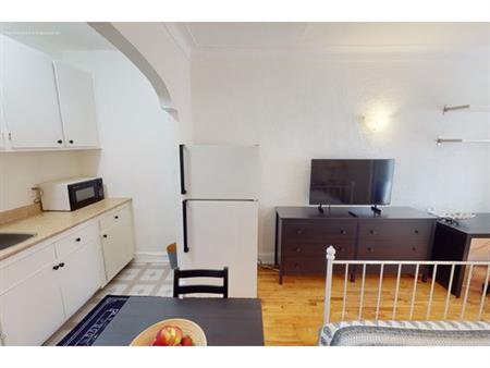 1 bedroom apartment of 236 sq. ft in Montreal