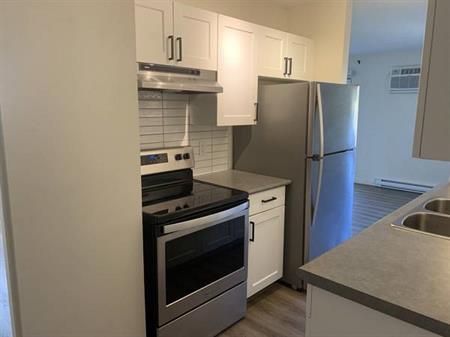 Renovated 2 Bedroom Suite for $1700/month!