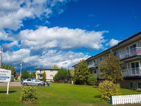 1 bedroom apartment of 602 sq. ft in Prince George