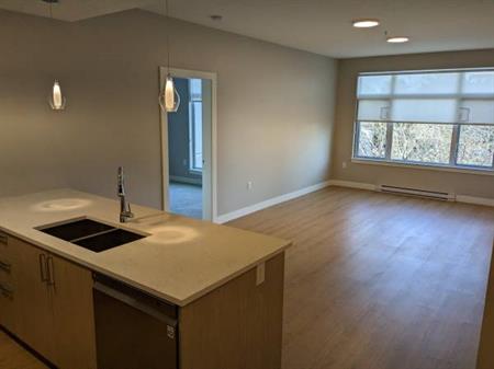 Beacon on the Park - Awesome! 2 Bedroom, 2 Bathroom Suite $2990