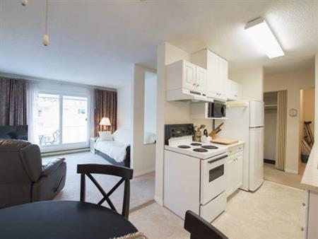 Salmon Arm-furnished 1 bedroom available now