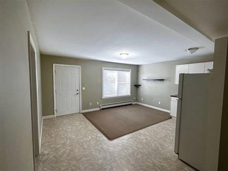 Two bedroom basement suite for rent