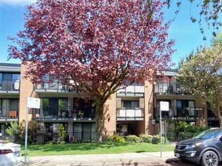 Kitsilano, Bright, Large 1 Bed, 2nd Flr, Oct 1st